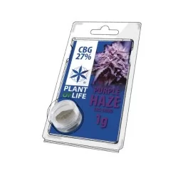Hash CBG 27% Purple Haze 1G - Plant of Life CBD