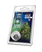 Charas CBG 33% Amnesia Haze 1G - Plant of Life