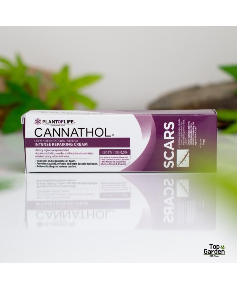 Cream Cannathol Scars 3% CBD & 0.5% CBG - Plant of Life