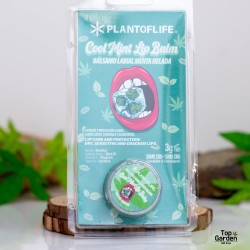 Lip Balm 1% CBD 0.5% CBG Cool Mint - Plant of Life CBD