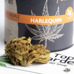 CBD Flower Harlequin 2Gr. - AD.Mont - Hemp Flower