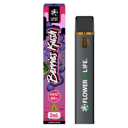 Vape Pen Desechable 95% HHC Berries Kush 2ml - Plant of Life