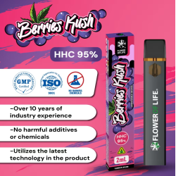 Vape Pen Desechable 95% HHC Berries Kush 2ml - Plant of Life