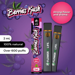 Vape Pen Desechable 95% HHC Berries Kush 2ml - Plant of Life