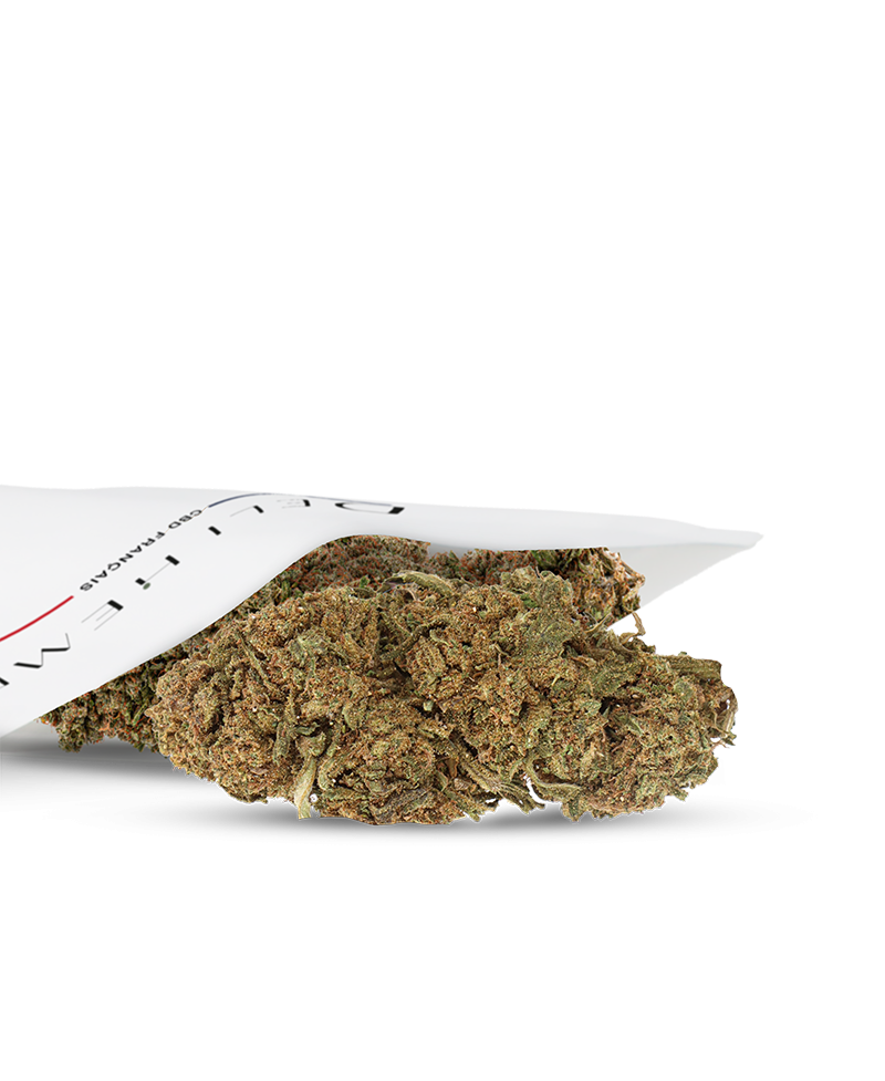 Flor de CBD Jamaican 25Gr. - Delihemp - Flor de Cañamo