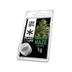 Hash CBD 10% Amnesia Haze 1G - Plant of Life CBD