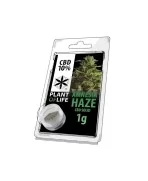 CBD Hash Amnesia Haze 10% 1G - Plant of Life CBD