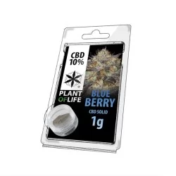 CBD Hash Blueberry 10% 1G - Plant of Life CBD